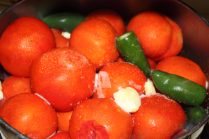 Vine ripened tomatoes and Jalapeno peppers in a pot. Loveland, CO